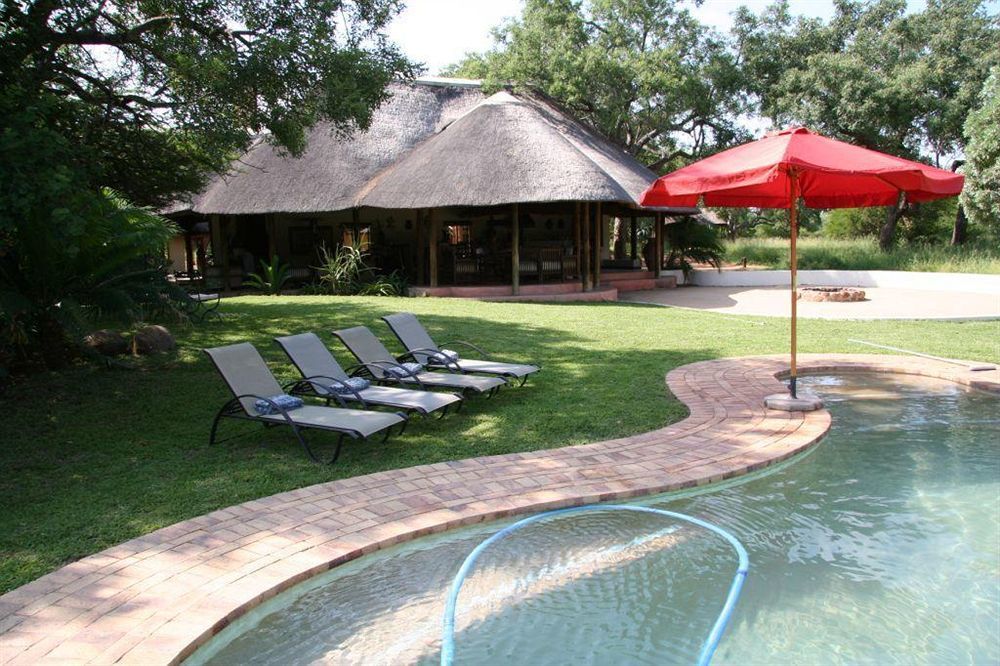 Thornybush Jackalberry Lodge Thornybush Game Reserve Bagian luar foto