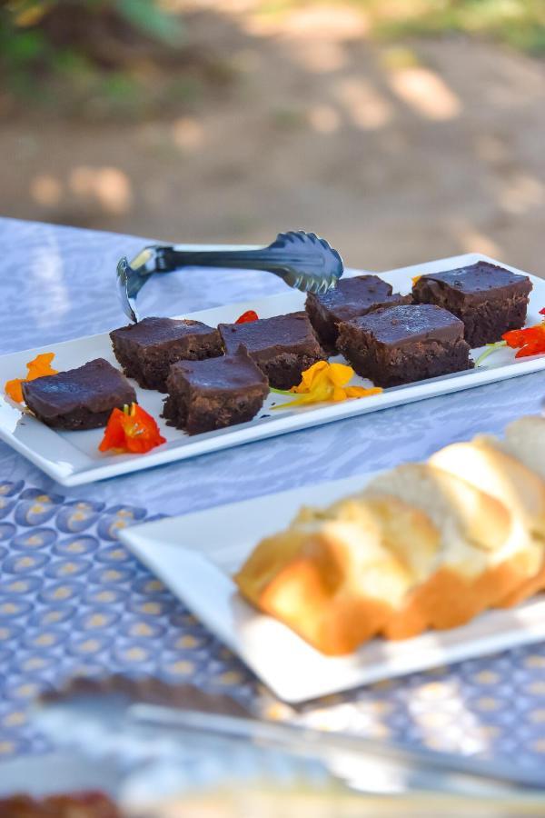 Thornybush Jackalberry Lodge Thornybush Game Reserve Bagian luar foto