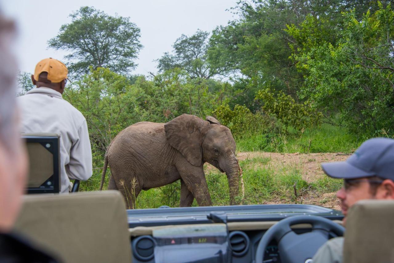 Thornybush Jackalberry Lodge Thornybush Game Reserve Bagian luar foto